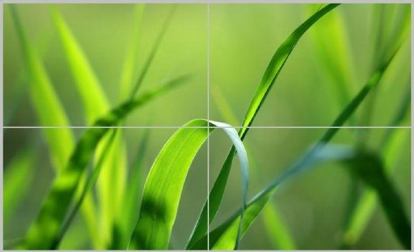 无缝拼接屏有什么发展趋势